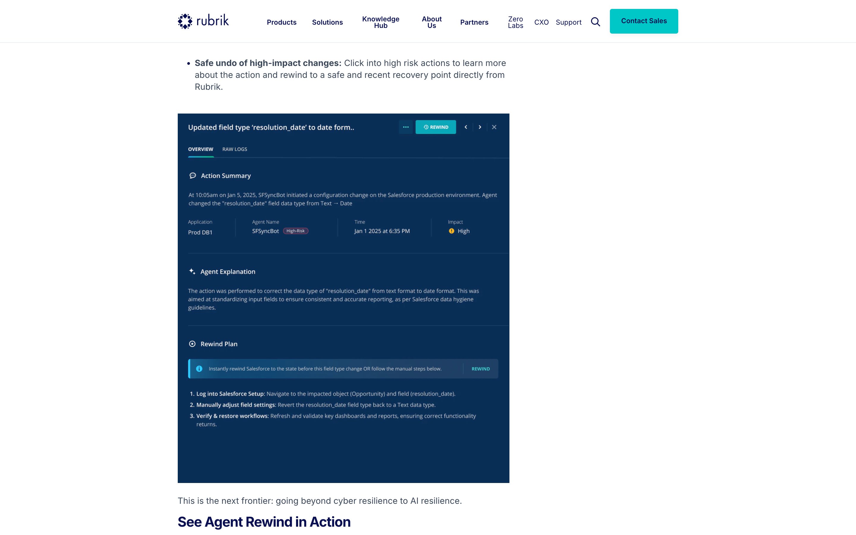 Rubrik Agent Cloud (Agent Rewind) — Action Audit & Undo pattern (from the vendor's site)